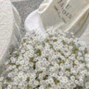 Meet your Posher, Bella